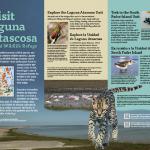 Bilingual sign introduces viewers to Laguna Atascosa Wildlife Refuge’s unique wildlife. Client: Alchemy of Design/USFWS