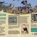 Bilingual sign showcasing some of the birds found at Laguna Atascosa Wildlife Refuge in Texas. Client: Alchemy of Design/USFWS
