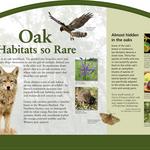 Highlighting some of the flora and fauna that live in oak habitats. Client: Metro